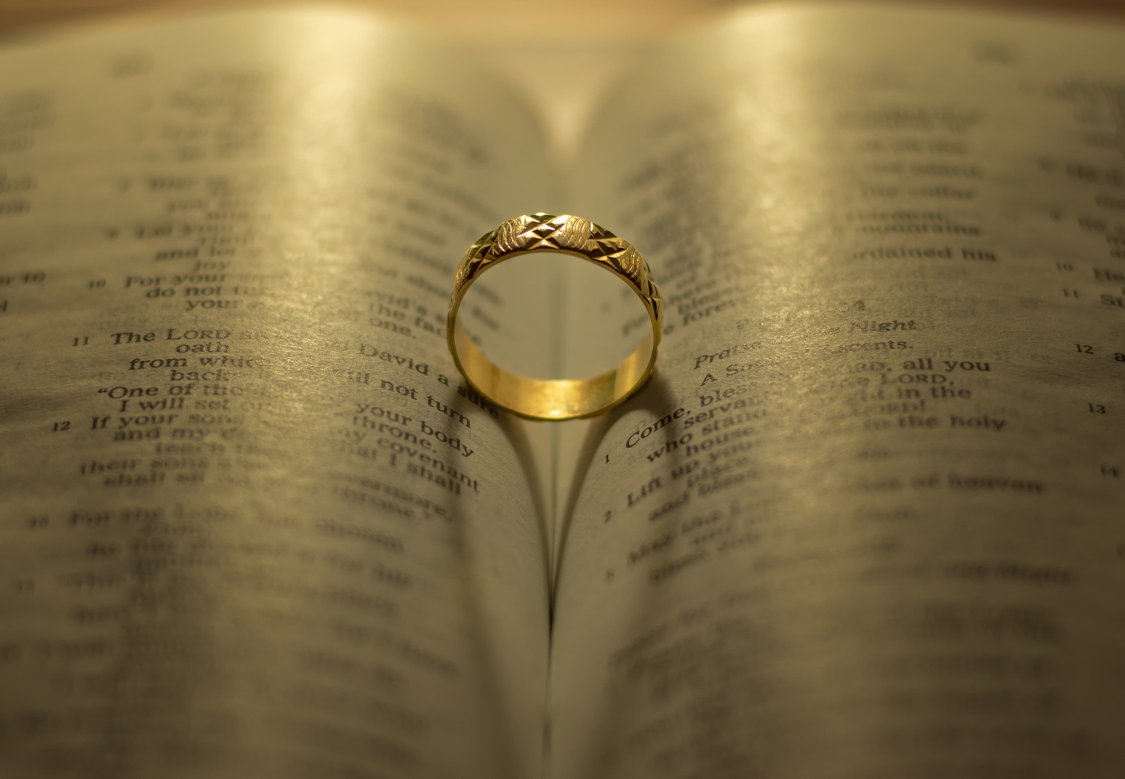 "The Heart of Her Husband Trusts in Her"